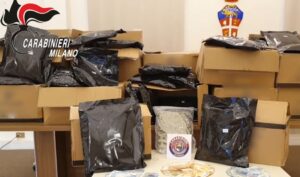 Blitz contro il narcotraffico, 12 arresti e 17 fermi